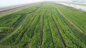 Project site`s latest aerial photo