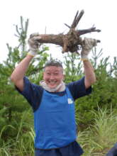 Uprooted kuzu helped removed by a local volunteer.