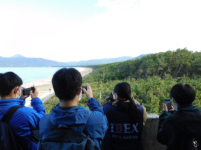 Students while visiting Niji-no-Matsubara forest