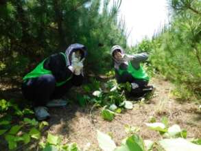 Volunteers. June 2025