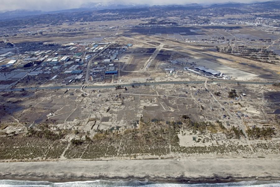 Restore 100 Hectares of the Miyagi Coastal Forest