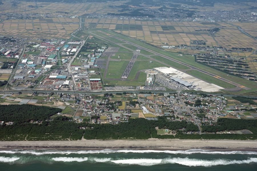 Restore 100 Hectares of the Miyagi Coastal Forest