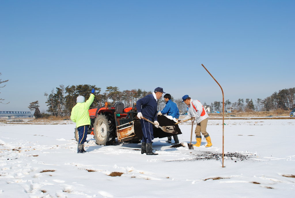 Restore 100 Hectares of the Miyagi Coastal Forest
