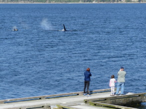 The Haights (volunteers) with Js, Holmes Harbor