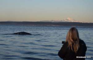 Alisa watching Dubknuk, #44, by Marilyn Armbruster