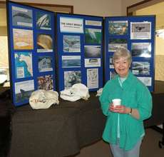 Sandy with skulls that will be in the Whale Center