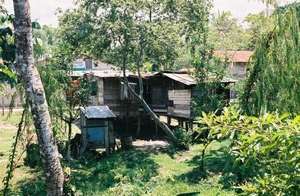 Typical House in Waspam