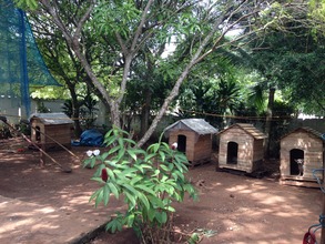 More homes