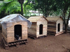 Dog Houses