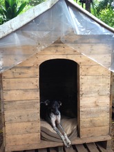 Lucho  tests  the comfort in his house