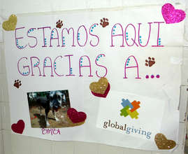 We are here thanks to Bimbi and Global Giving!