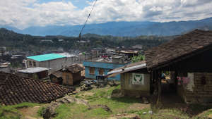 A View from the Bridge