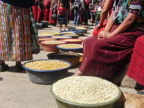 Market Maize