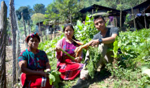 Lizbeth enjoys working alongside Chajul's families