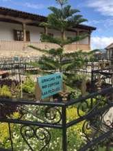 "Thank you for not cutting the flowers"