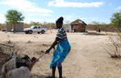 Goat Herding Skills for 22 AIDS Orphans