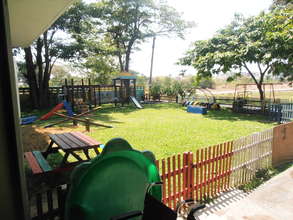 The garden