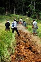 Plowing Between Rows to Create Fire Breaks