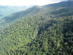 Unfragmented forest cover, protected by WA