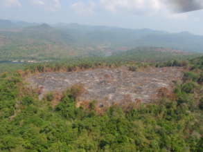 Habitat Loss from Slash and Burn Farming