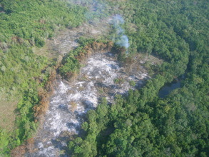 Aerial View of Forest Destruction