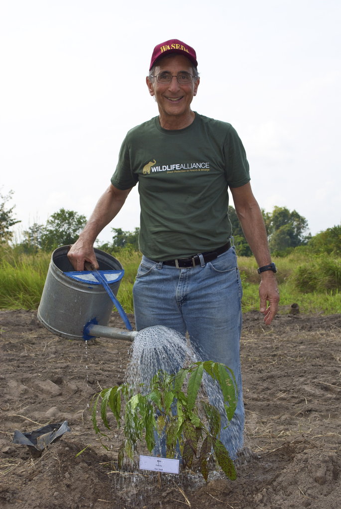 Plant a Rainforest in Southeast Asia