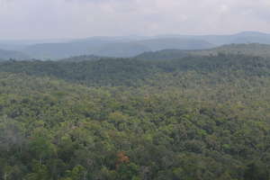 The Southern Cardamom Mountains
