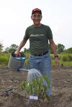 Planting Trees in Deforested Areas