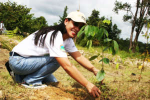 Planting Trees in Koh Kong