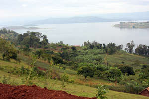 Site of the Sustainable Garden