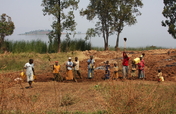 Empower Students with School Garden in DR Congo