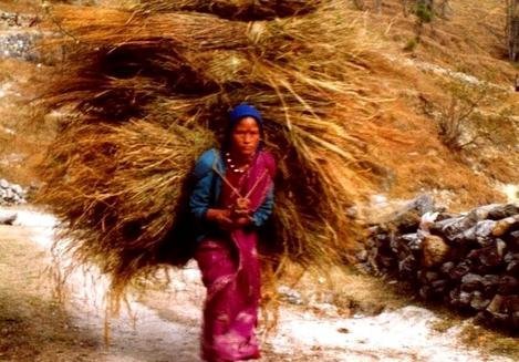 Empower 2,000 women in the Rural Himalayas