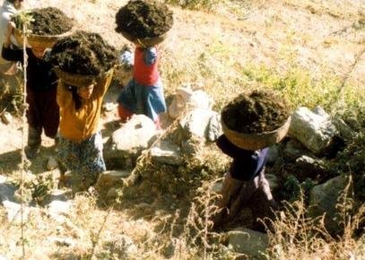Empower 2,000 women in the Rural Himalayas