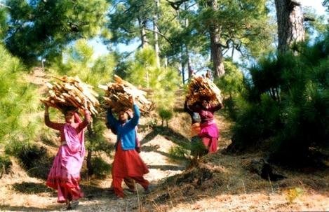 Empower 2,000 women in the Rural Himalayas