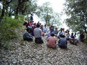 Forest Meeting