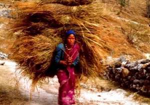 Women Fodder Load