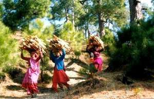 Women Fuelwood Load