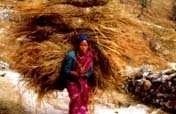 Empower 2,000 women in the Rural Himalayas