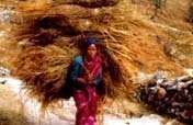 Empower 2,000 women in the Rural Himalayas