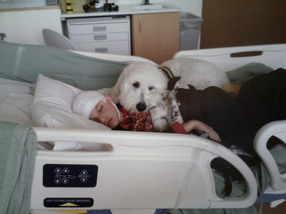 Seizure Response Dog for Tristen