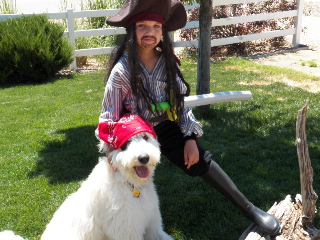 Seizure Response Dog for Tristen