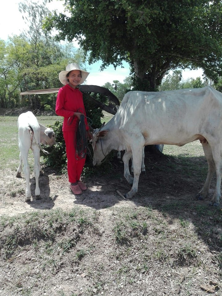 Back home helping with work