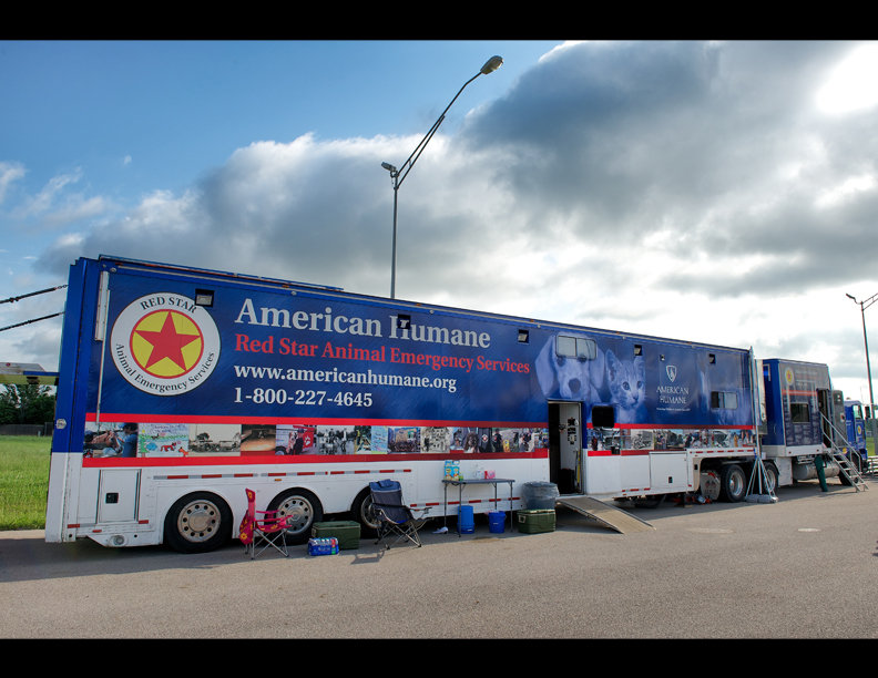 Aid for animal victims of the Oklahoma tornadoes