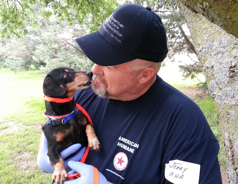 Aid for animal victims of the Oklahoma tornadoes