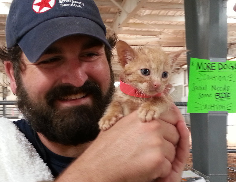 Aid for animal victims of the Oklahoma tornadoes