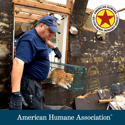 Aid for animal victims of the Oklahoma tornadoes