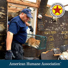 Aid for animal victims of the Oklahoma tornadoes