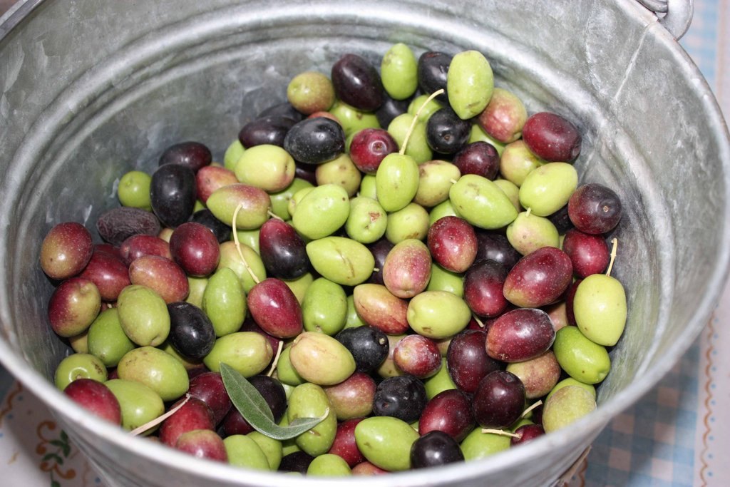 Food Security & Drought Preparedness- Baja Mexico