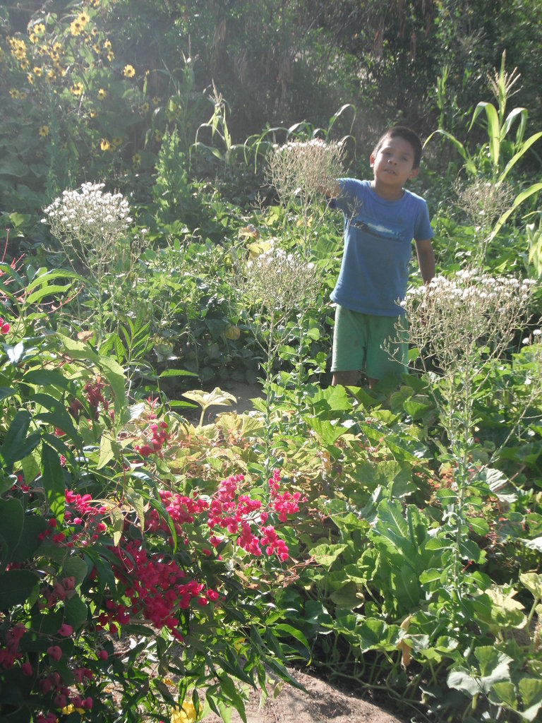 Food Security & Drought Preparedness- Baja Mexico