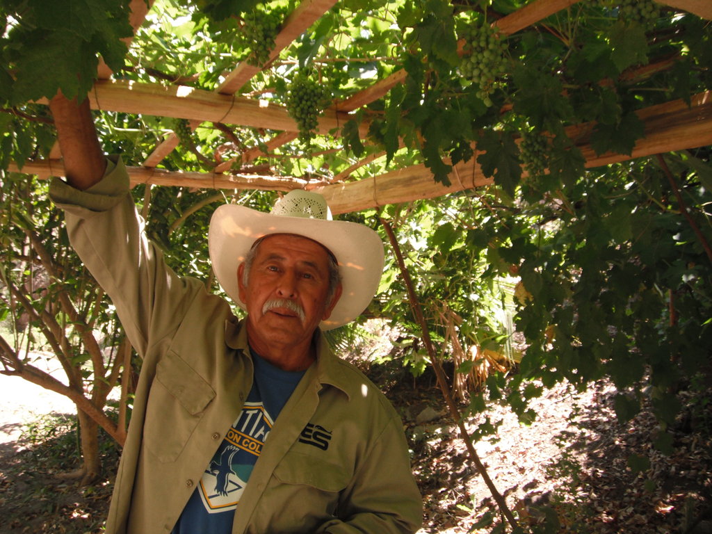 Food Security & Drought Preparedness- Baja Mexico